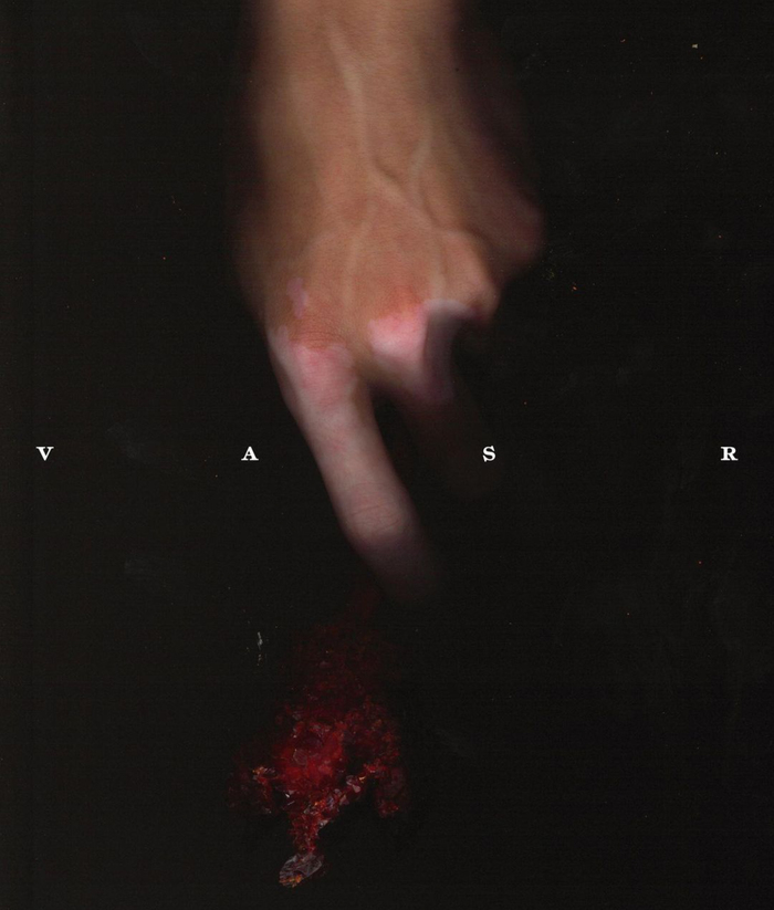 VASR visual identity 6