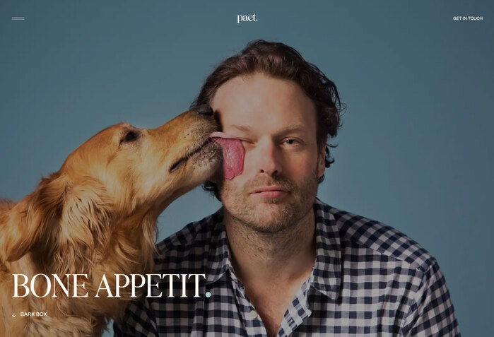 Pact website 5