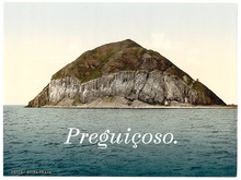 <cite>Preguiçoso.</cite> postcard