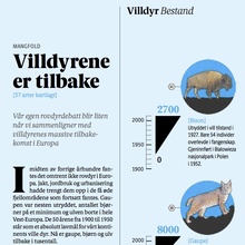 <cite>A-Magasinet</cite> (2013 redesign)