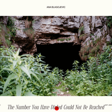 Ana Blagojevic website