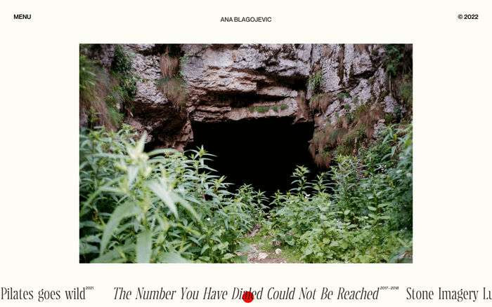 Ana Blagojevic website 1