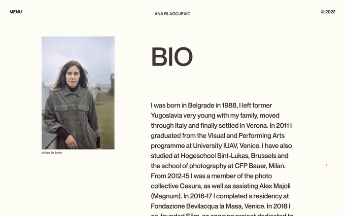 Ana Blagojevic website 3
