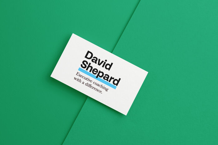 David Shepard branding 1