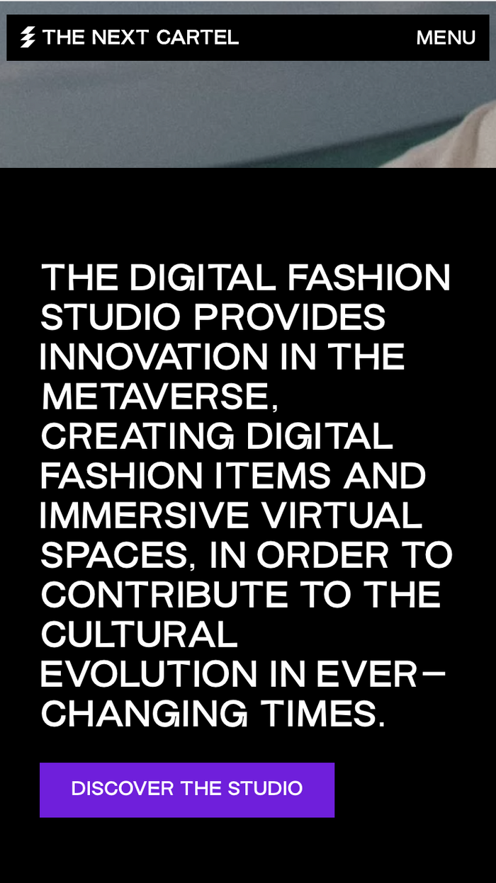 The Next Cartel website 5