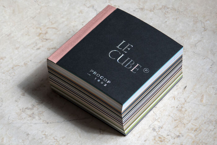 Le Cube by Procop 11