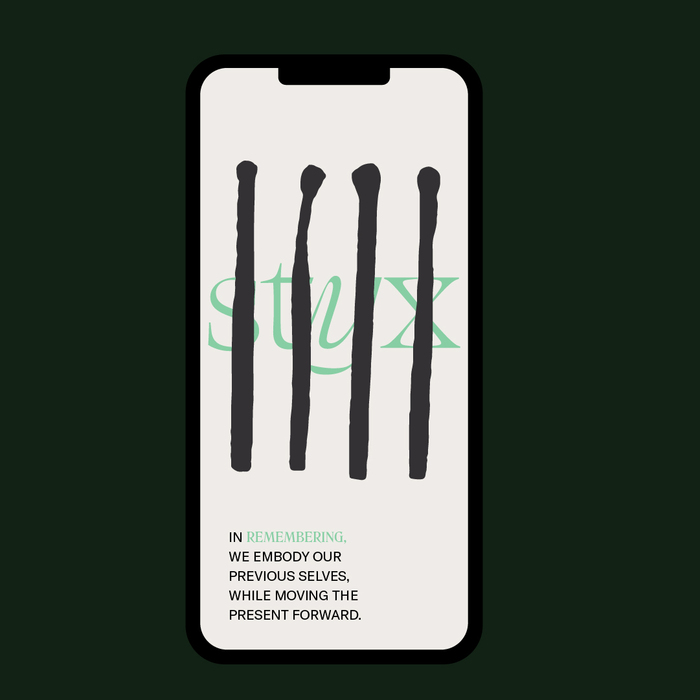 STYX branding 6