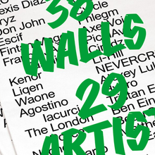 <cite>38 Walls 29 Artists</cite>