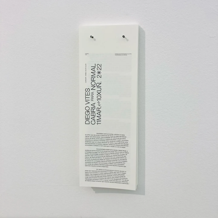 Cabria Para Normal exhibition posters and handouts 3