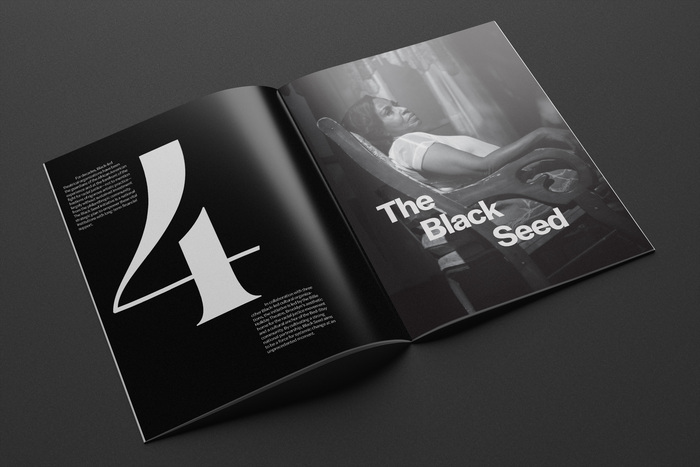 The Mellon Foundation 8