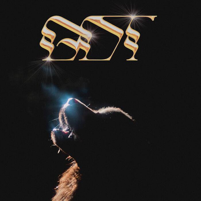 Single artwork for “Go Down Together”