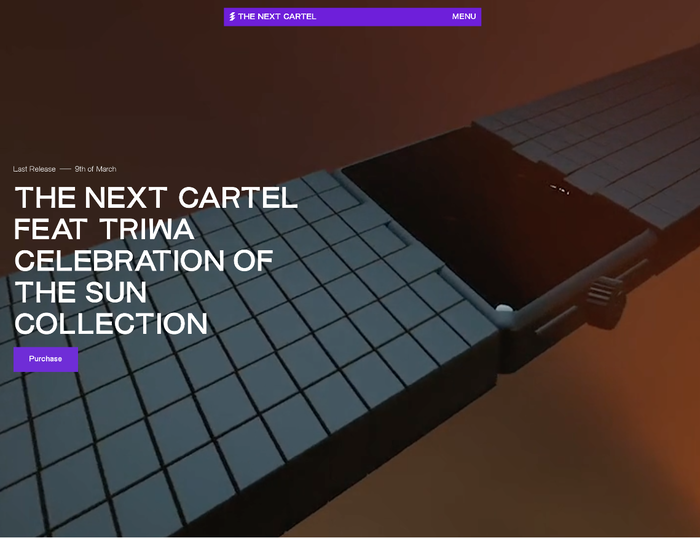 The Next Cartel website 3