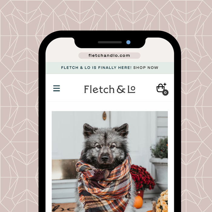 Fletch &amp; Lo branding 1