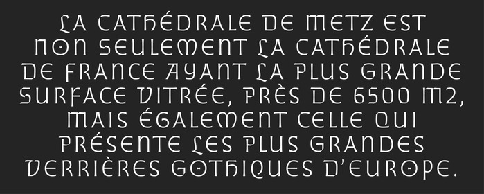 The Cathedral project, Metz, France 11