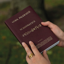 <cite>Schismatics</cite> by Goda Palekaitė