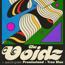 The Voidz at Market Hotel poster