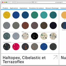Boulenger website (2019 redesign)