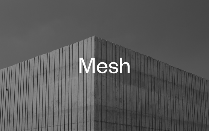 Mesh Scandinavia 1