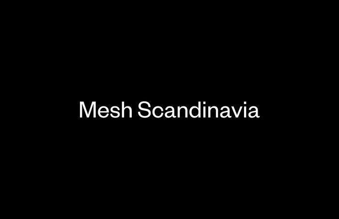 Mesh Scandinavia 2