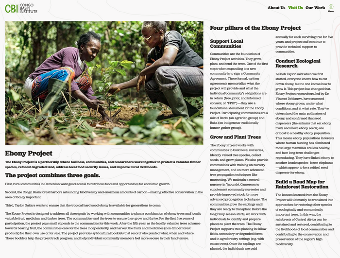 Congo Basin Institute website 2