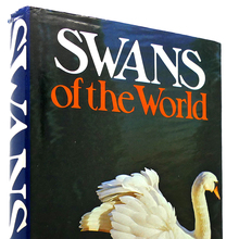 <cite>Swans of the World</cite> by Sylvia Bruce Wilmore