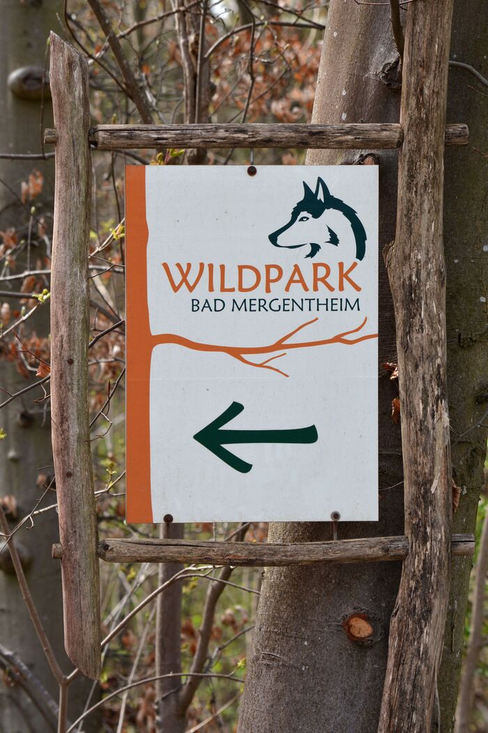 Wildpark Bad Mergentheim 1