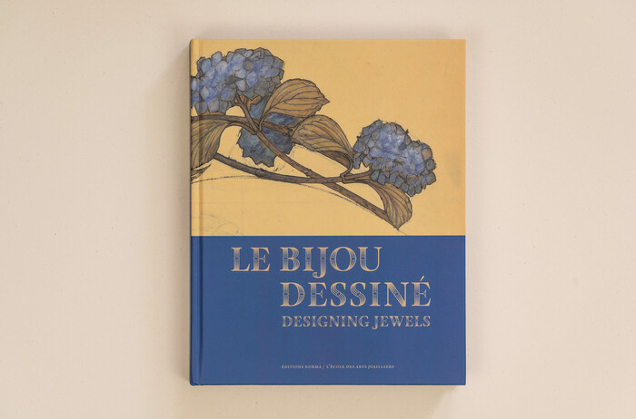 Le Bijou Dessiné / Designing Jewels by Guillaume Glorieux, Michael Decrossas &amp; Stéphanie Desvaux 1