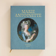 <cite>Marie Antoinette</cite> by Jean-Clément Martin and Cécile Berly
