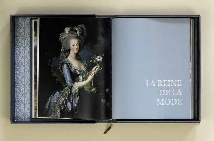 Marie Antoinette by Jean-Clément Martin and Cécile Berly 4