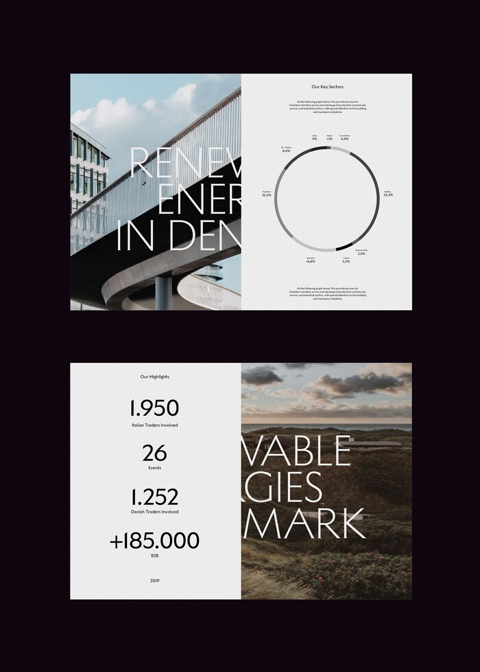 Danitacom visual identity and website 1