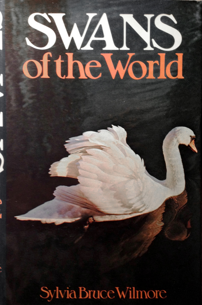 Swans of the World by Sylvia Bruce Wilmore 3