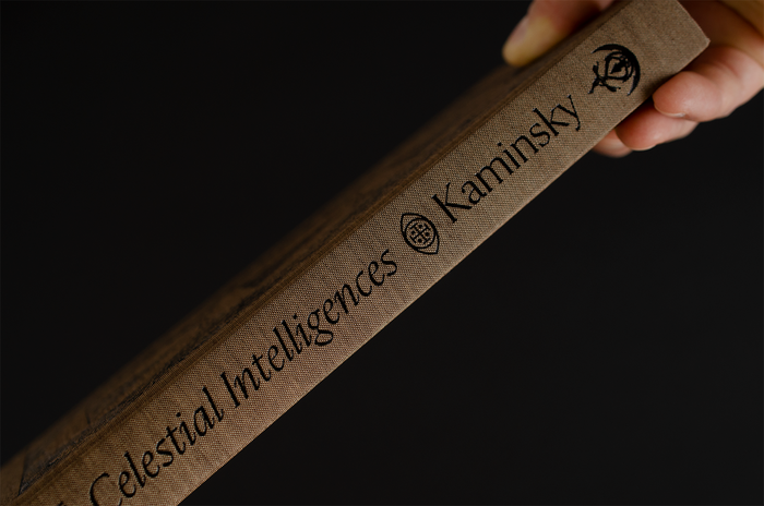  in italic and roman styles on the book’s spine