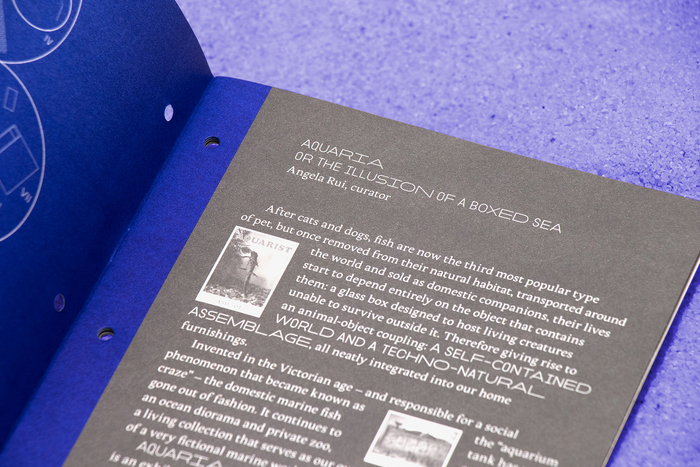 Aquaria – Or the Illusion of a Boxed Sea exhibition booklet 2