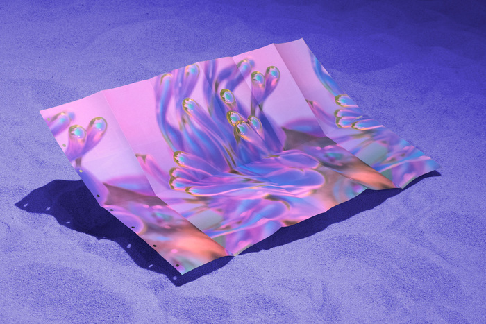 Aquaria – Or the Illusion of a Boxed Sea exhibition booklet 5