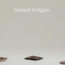 <cite>Indisch Zwijgen</cite> (2022) documentary