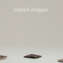 <cite>Indisch Zwijgen</cite> (2022) documentary