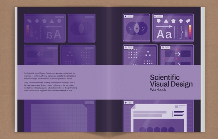 Scientific Visual Design 6