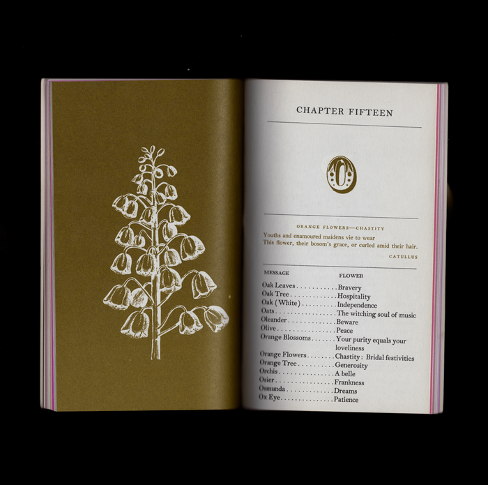 The Language of Flowers (Price Stern Sloan, 1965) 2
