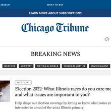 <cite>Chicago Tribune</cite> website