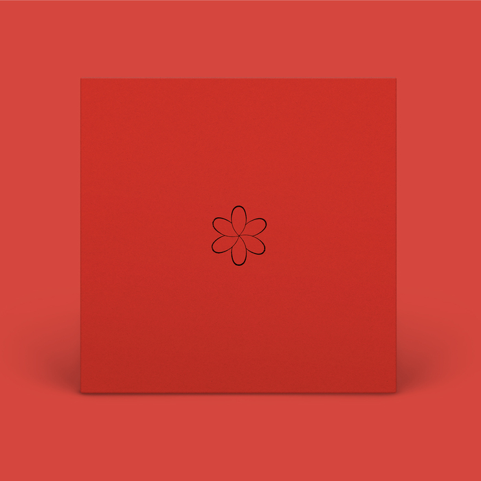 El petit de cal Eril – N.S.C.A.L.H. album art 4