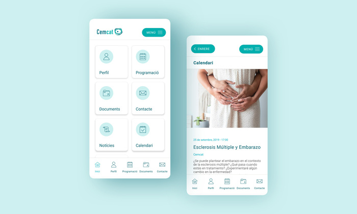 Cemcat app 1