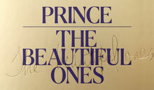 <cite>Prince: The Beautiful Ones</cite>