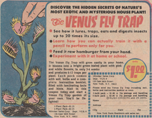 “The Venus Fly Trap” ad