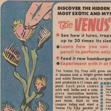 “The Venus Fly Trap” ad