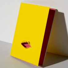 <cite>De dentro a Fuera</cite> exhibition catalog