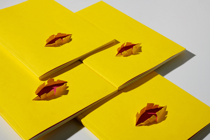 De dentro a Fuera exhibition catalog 2