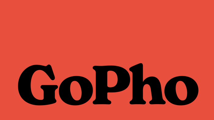 GoPho 1