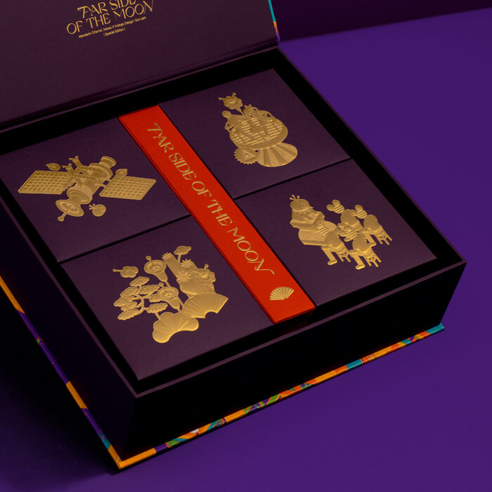 “Far side of the moon” mooncake packaging 7