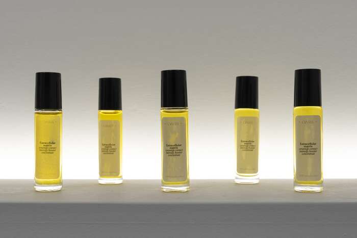 Oasis exhibition and Oasis – A Spa Reader by Christiane Peschek 8