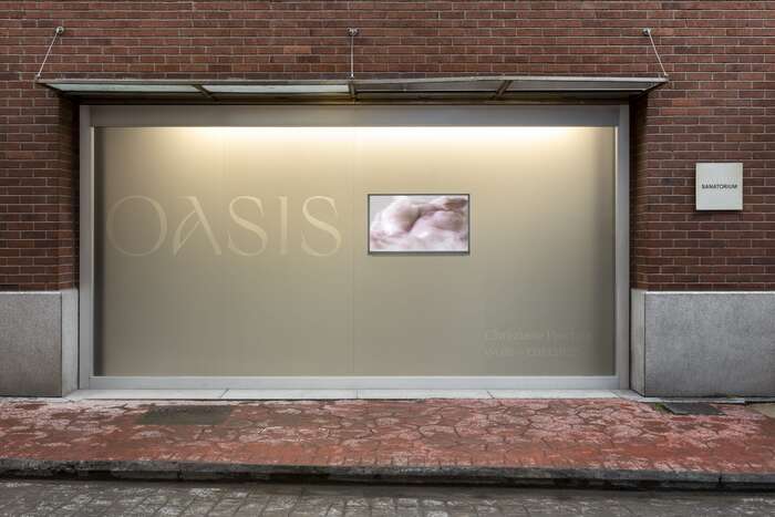 Oasis exhibition and Oasis – A Spa Reader by Christiane Peschek 6